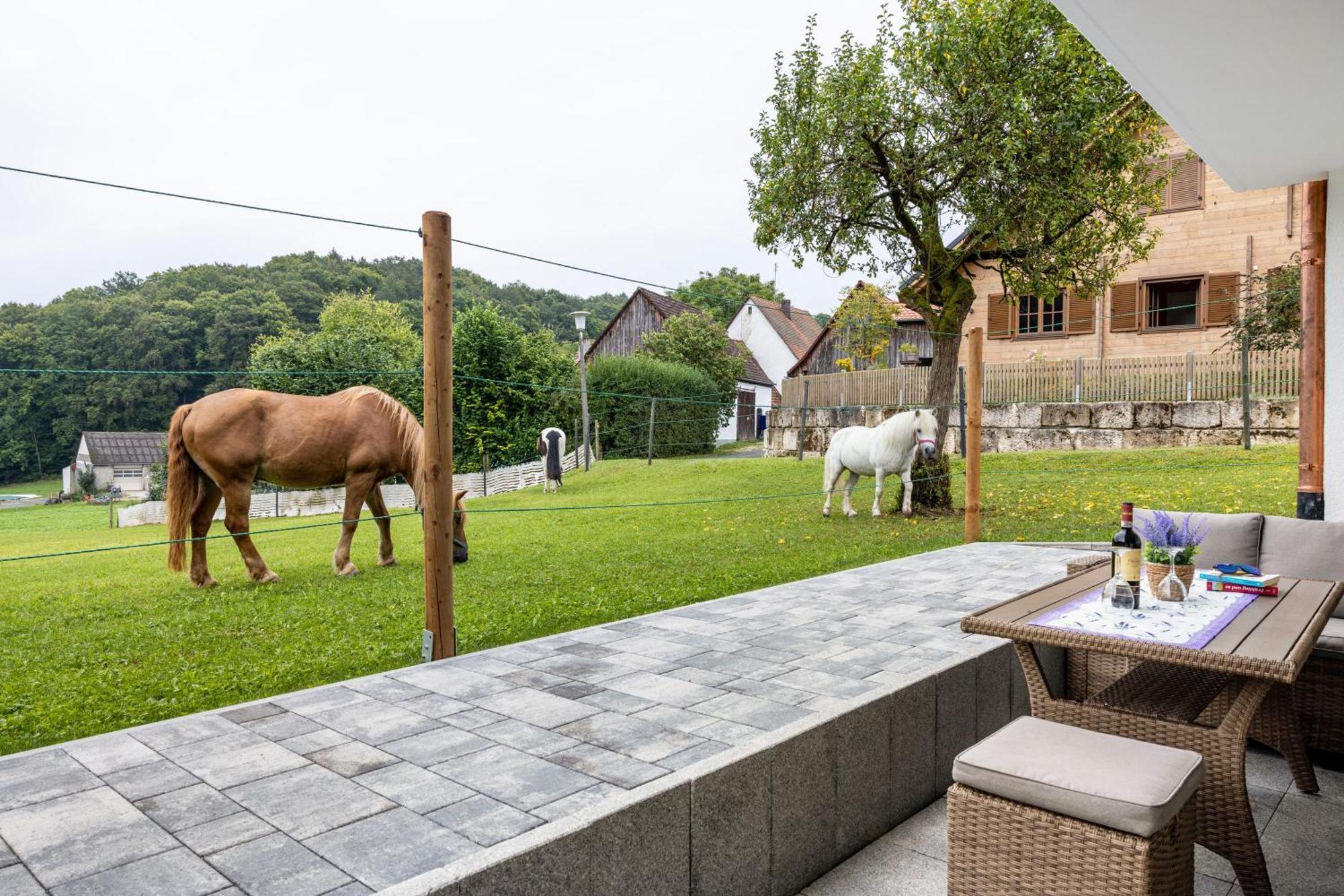 Apartamento Brunnerhof Urlaub Auf Dem Land Hartenstein  Exterior foto